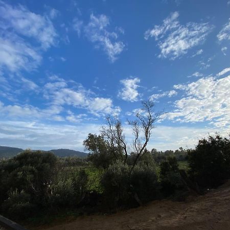 Porto-Vecchio, Luxe Et Lumiere, Stanatura Exteriör bild